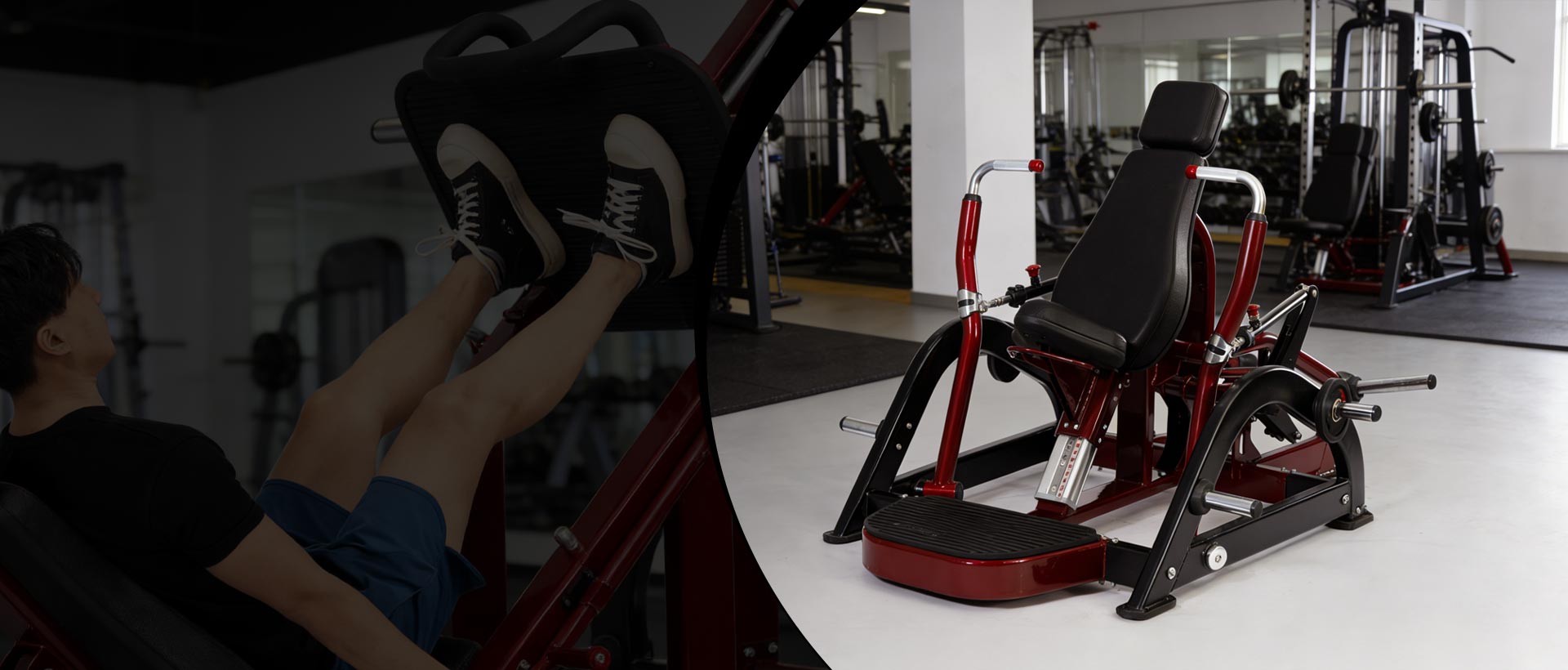 China Strength Training Machine Manufacturer
