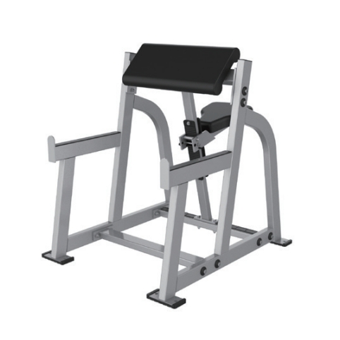 Arm Curl, Seated