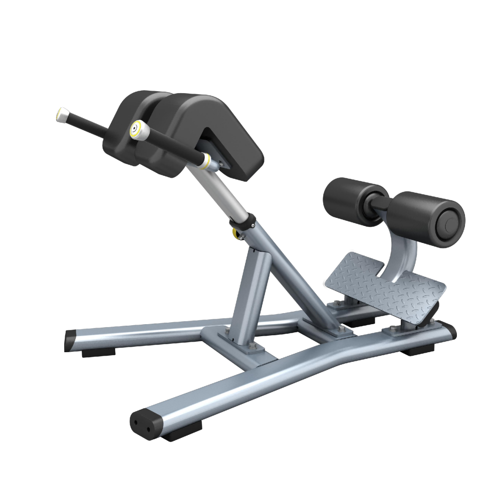 Back Extension Bench