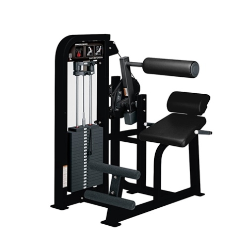 Back Extension Equipment