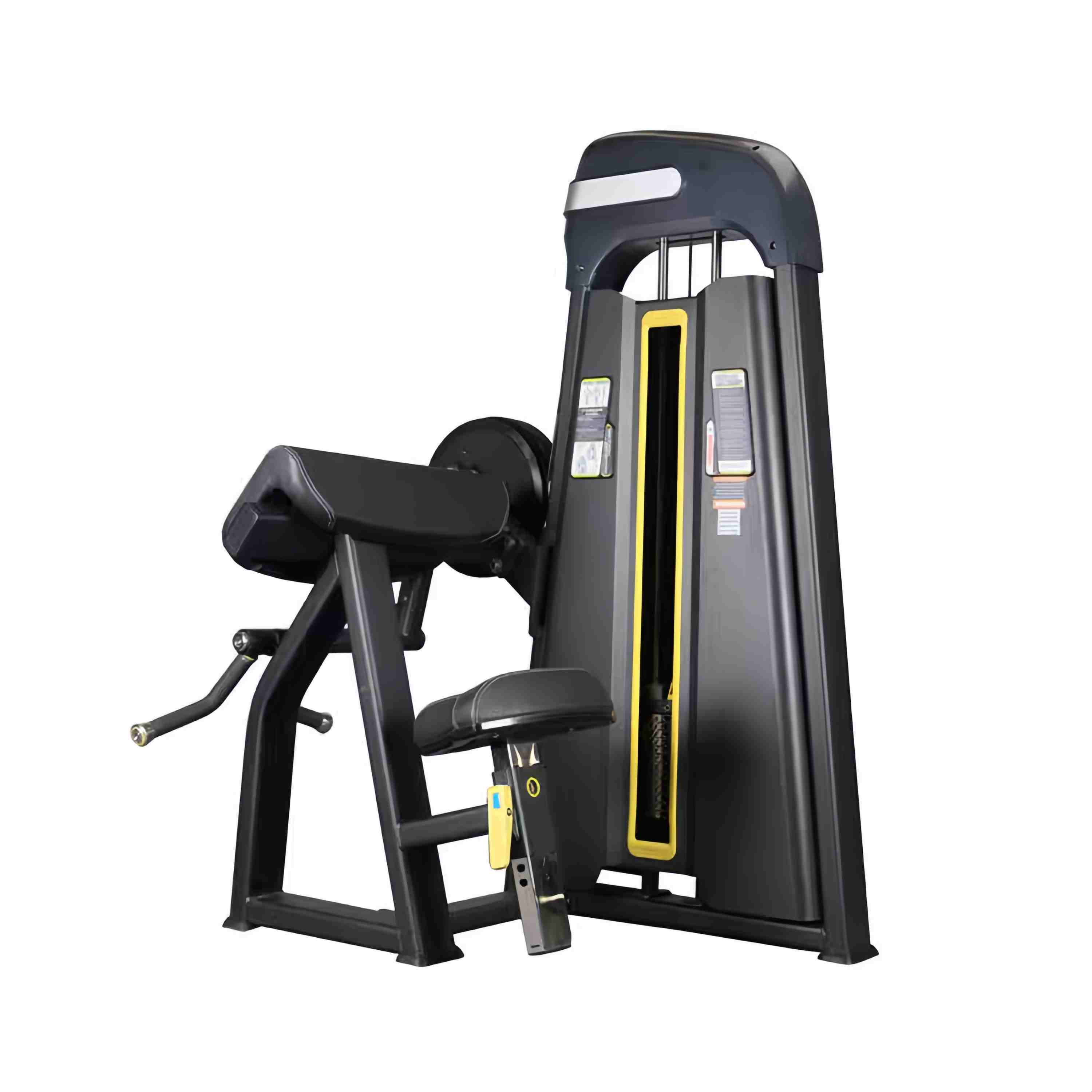 Camber Curl & Bicep Curl