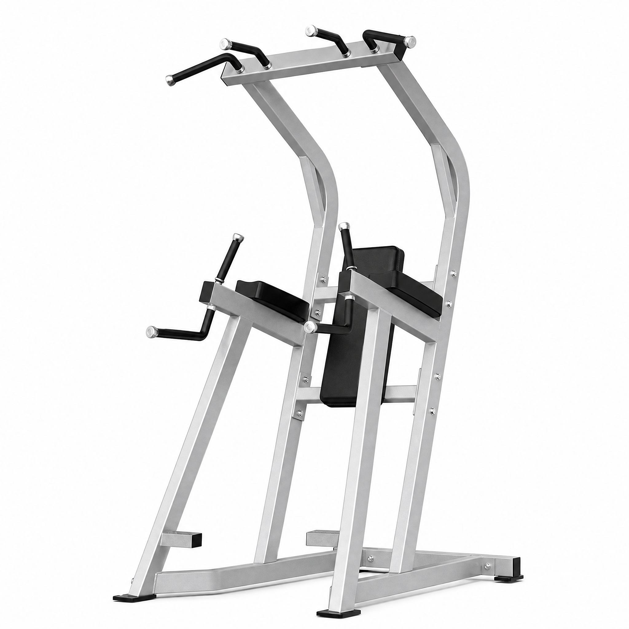 Chin/Dip/Leg Raise