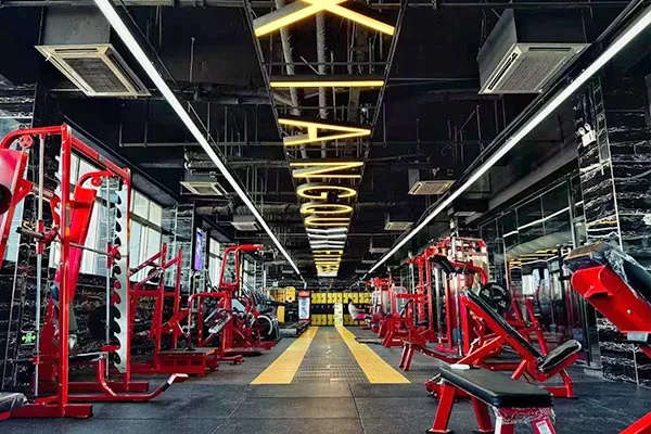 Gyms & Fitness Clubs