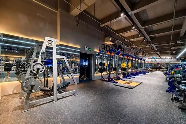 Gyms & Fitness Clubs