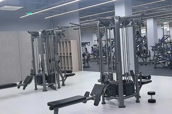 Gyms & Fitness Clubs