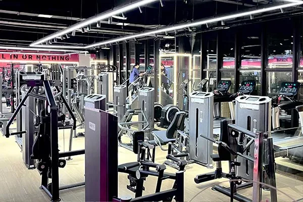 Gyms & Fitness Clubs