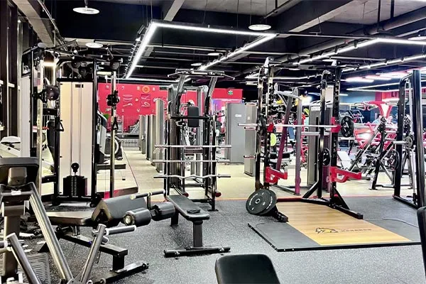 Gyms & Fitness Clubs