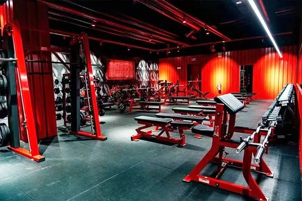 Gyms & Fitness Clubs