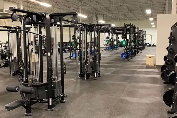 Gyms & Fitness Clubs