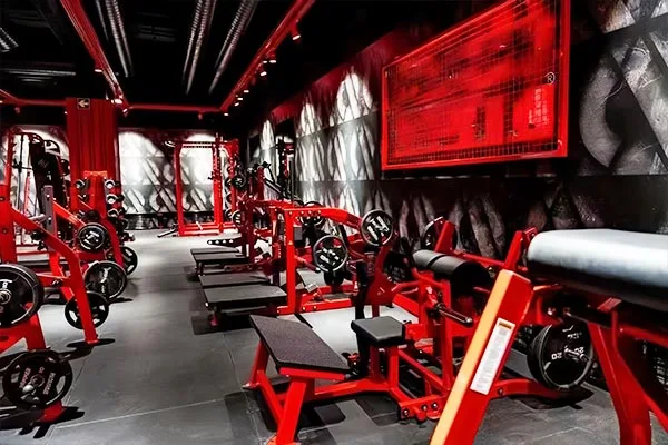 Gyms & Fitness Clubs