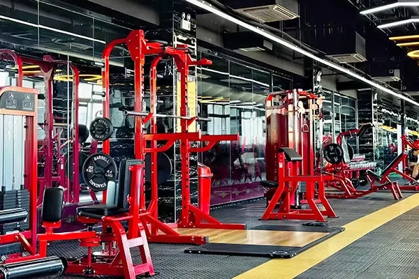 Gyms & Fitness Clubs