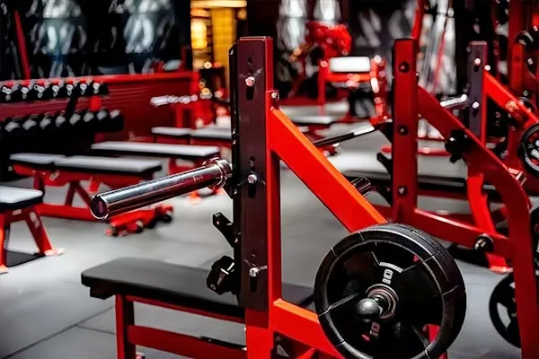 Gyms & Fitness Clubs