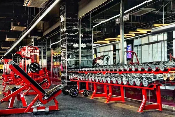 Gyms & Fitness Clubs