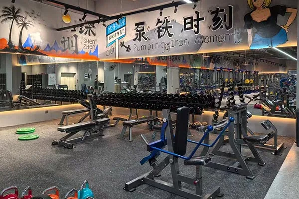Gyms & Fitness Clubs