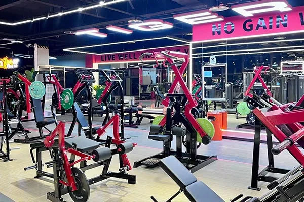 Gyms & Fitness Clubs