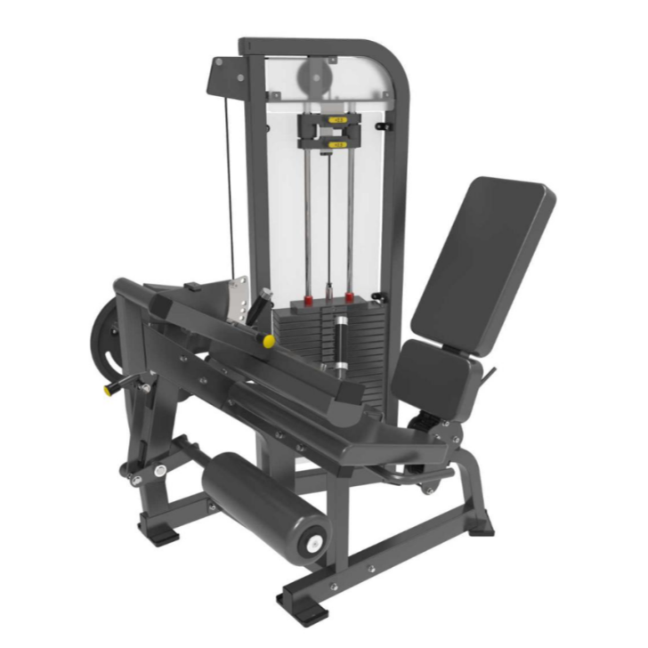 Leg extension Leg Curl