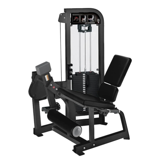 Leg extension+Prone Leg Curl