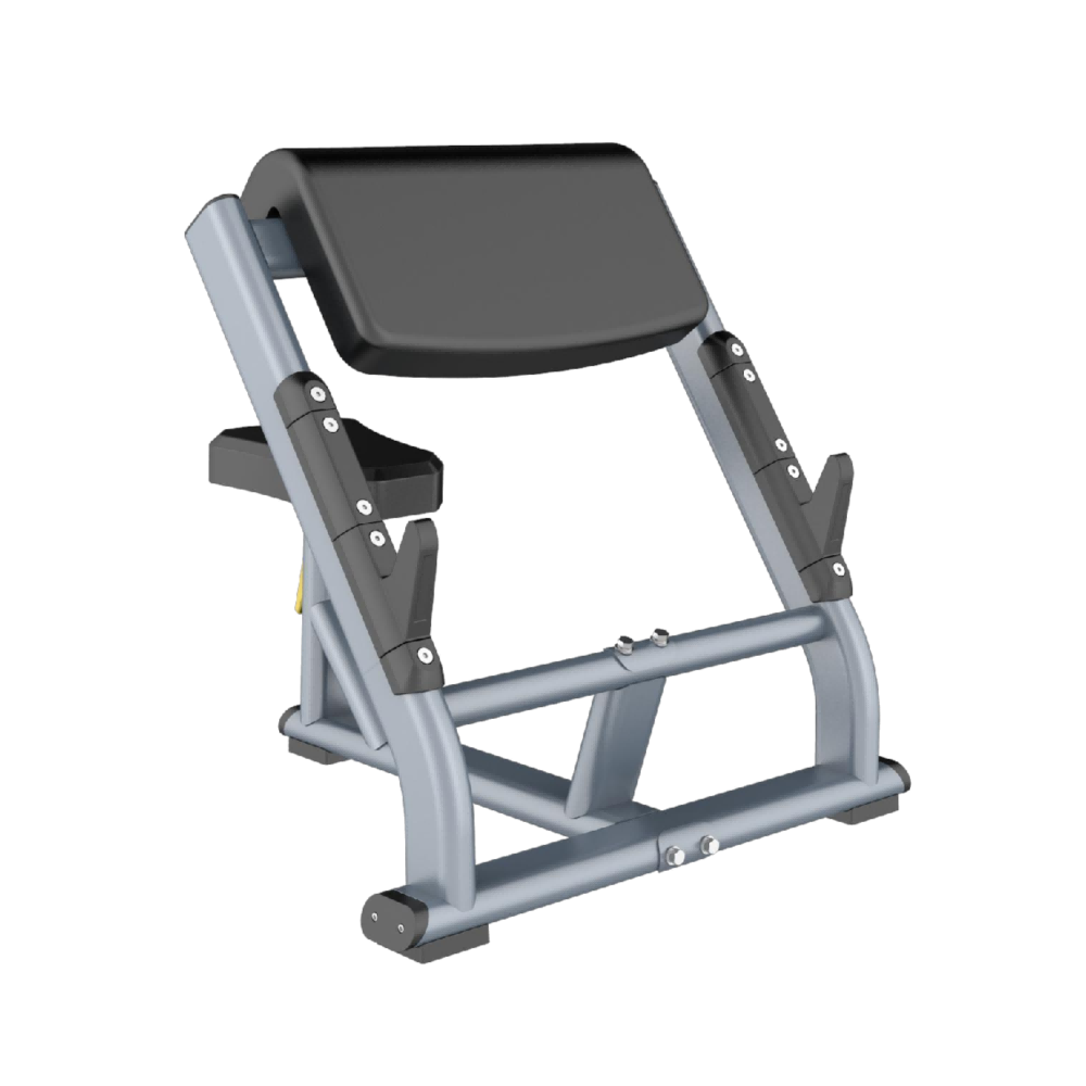 Preacher Curl Bench