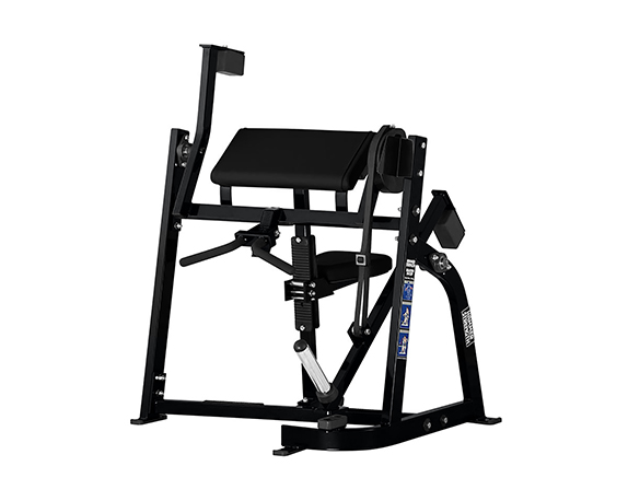 Seated Biceps