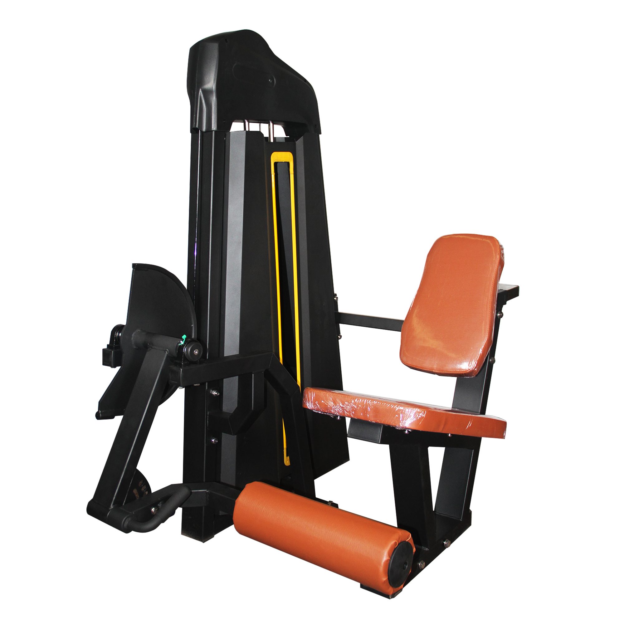 Seated Leg Curl Equipment