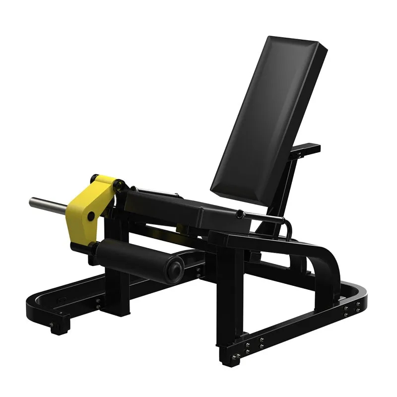 Seated Leg Extension