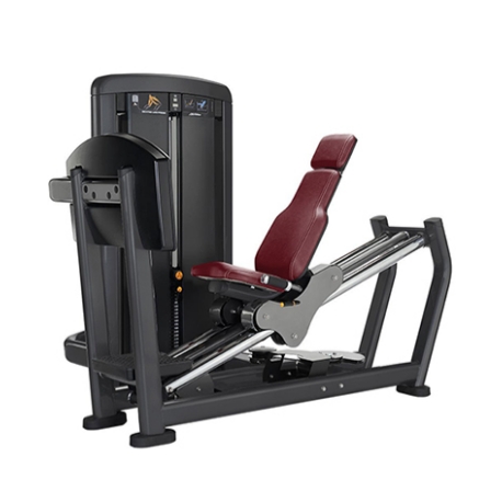 Seated Leg Press Machine