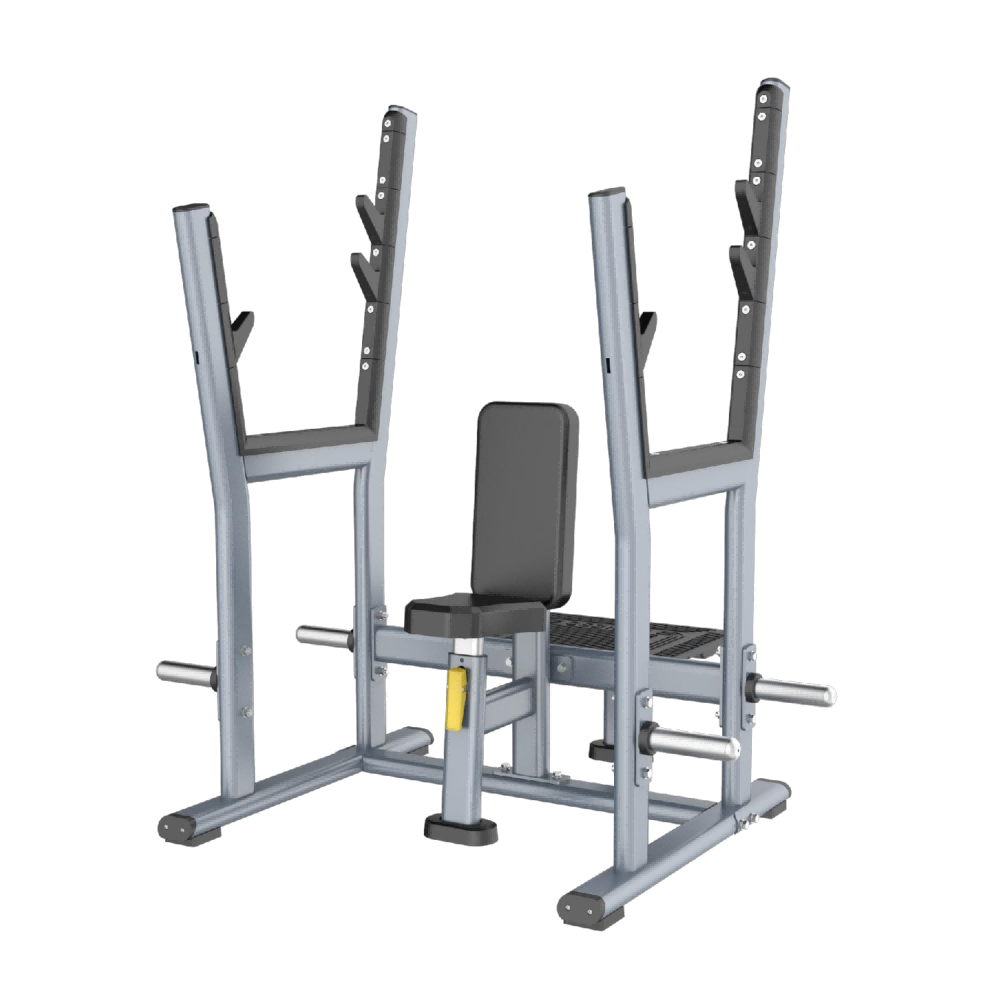 Seated Shoulder Press Rack